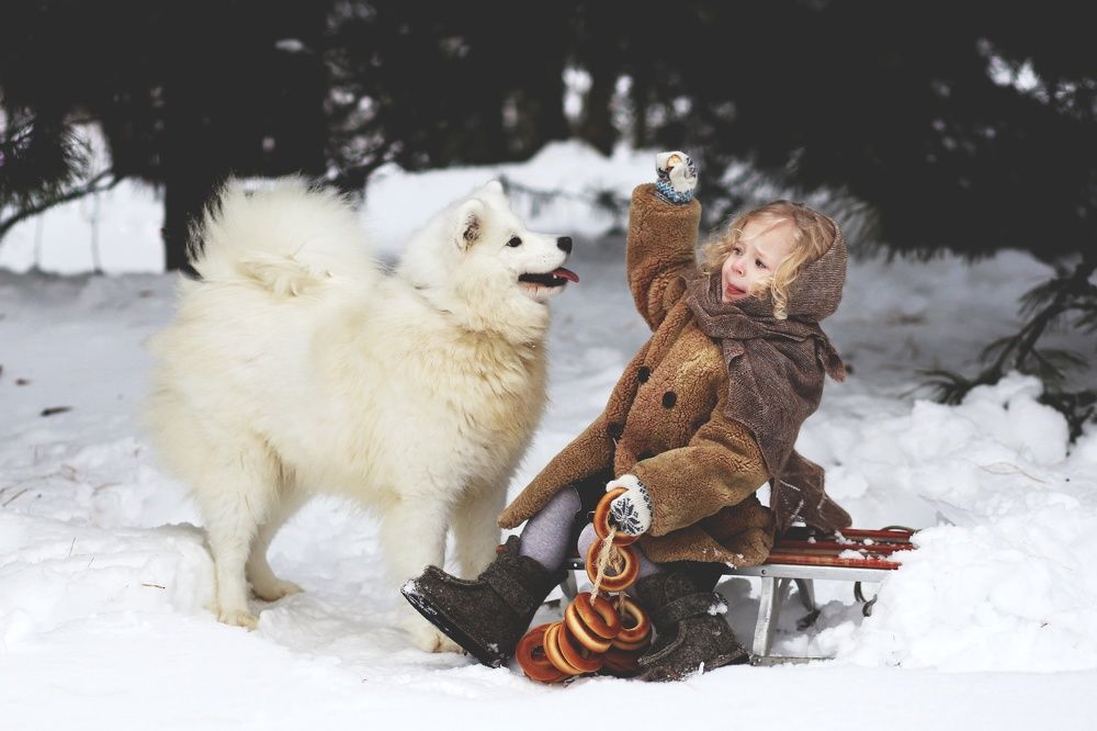 Фотография автора Елена Кириллова