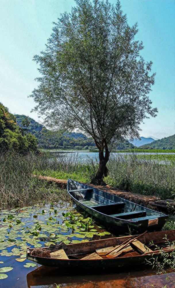 Photograph by Александр Стрельченко