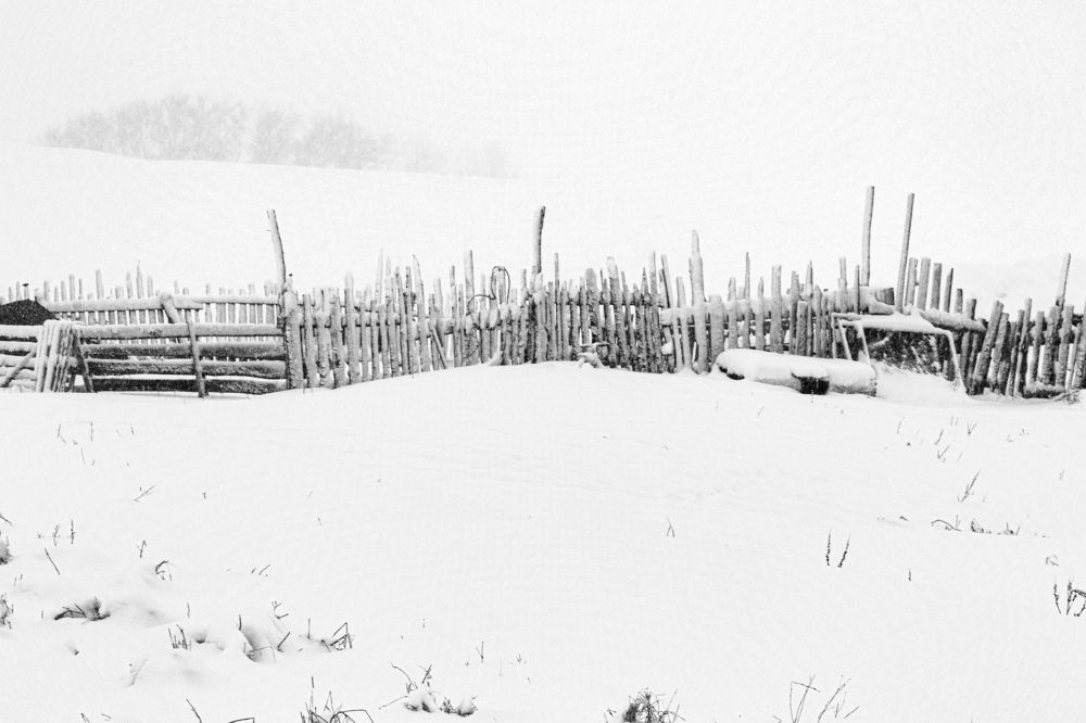 Photograph by Пиленгас Александр