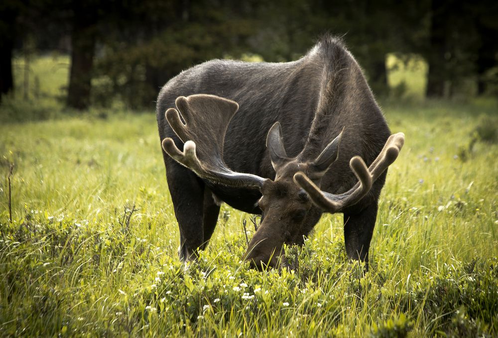 Photograph by Valentina Gatewood