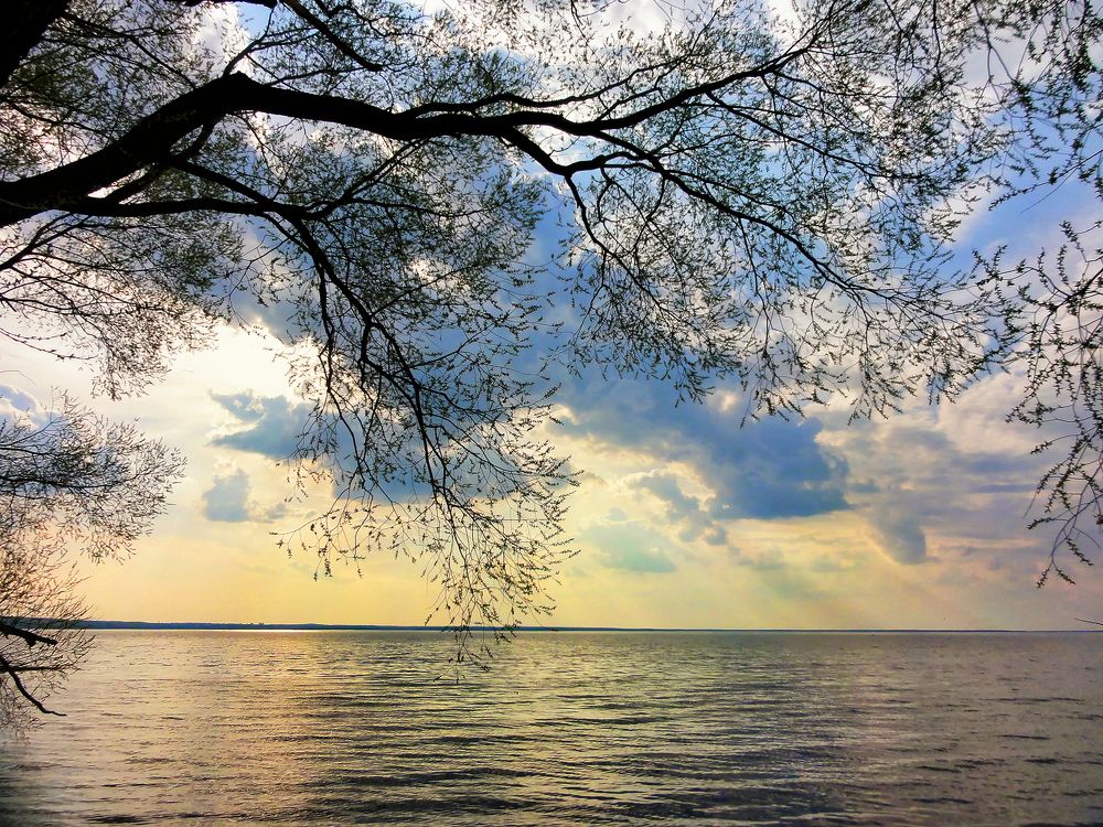 Фотография автора Vera Eremeeva