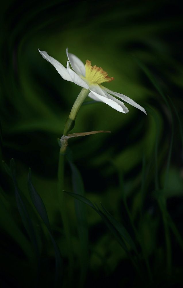 Photograph by Искандар Газизов