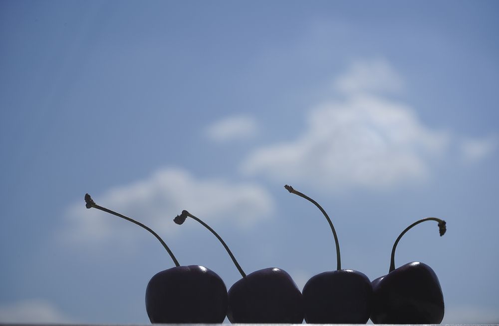 Photograph by Виктория Лаврова