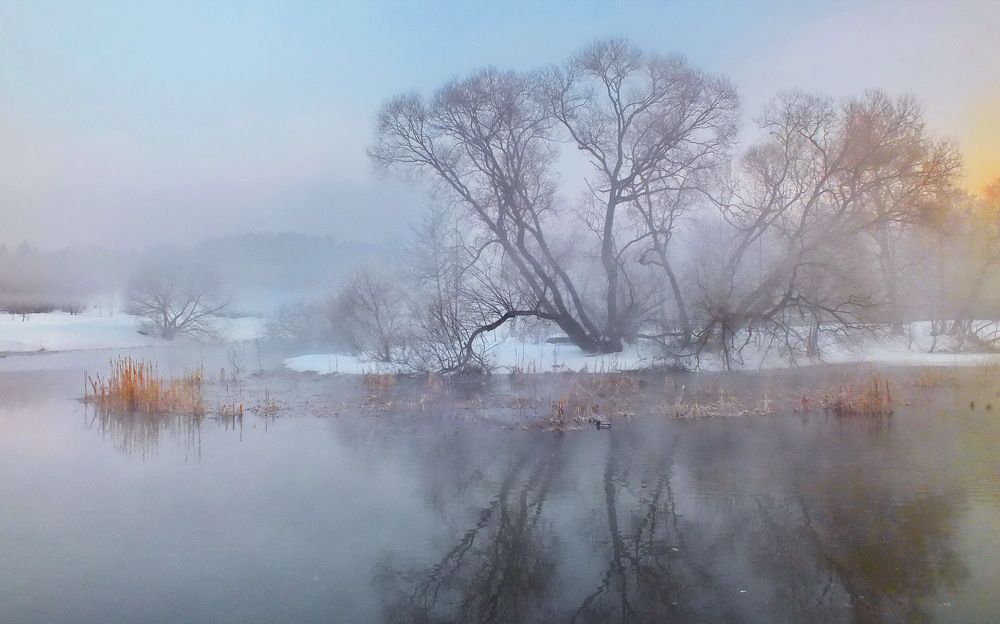 Photograph by Валерий Козуб
