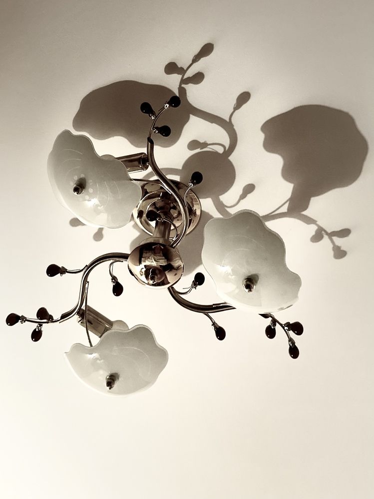 Photograph by Лариса Акинчиц