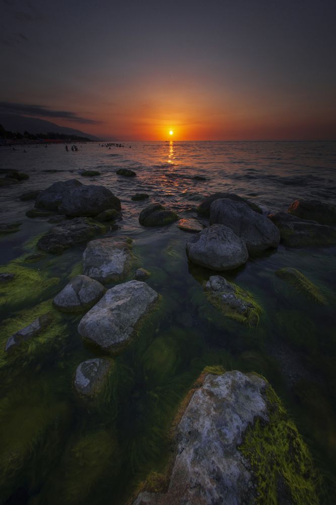 Фотография автора Mojtaba Chenari