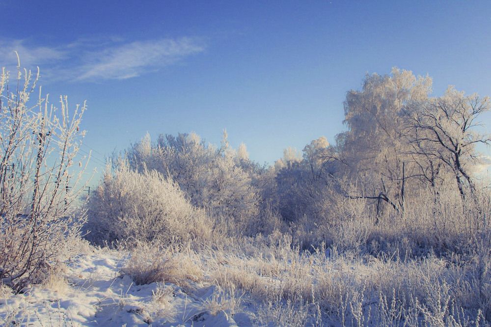 Photograph by Андрей Астафьев