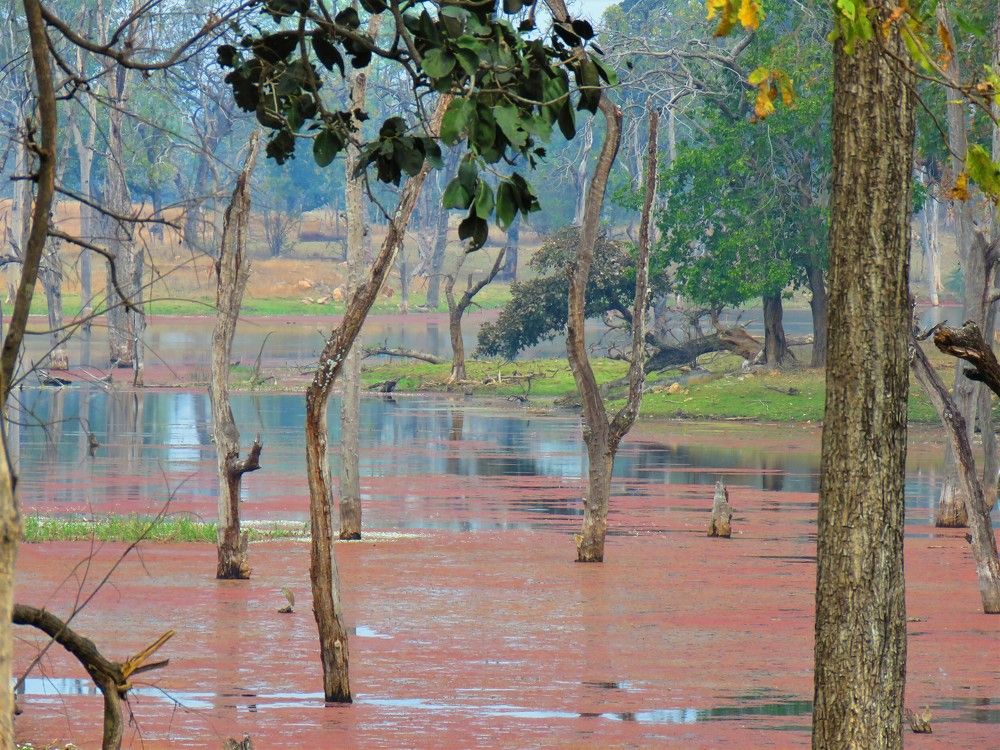 Photograph by ANISH BISWAS