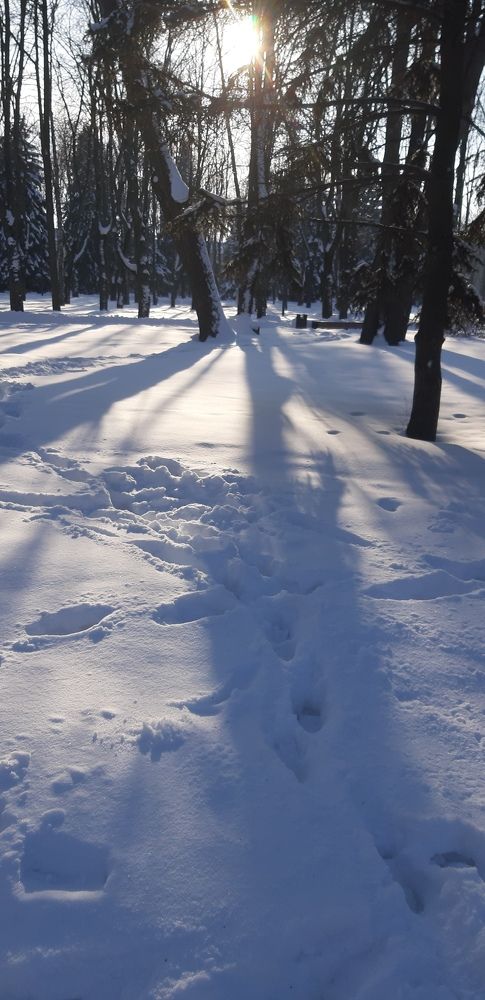 Photograph by Светлана Немонтова