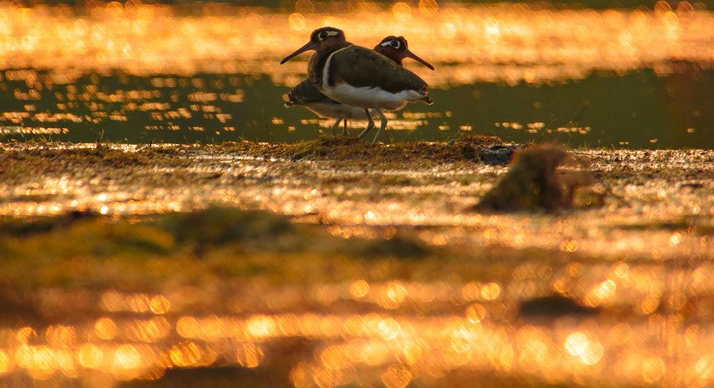 Photograph by Vinayak Sharma