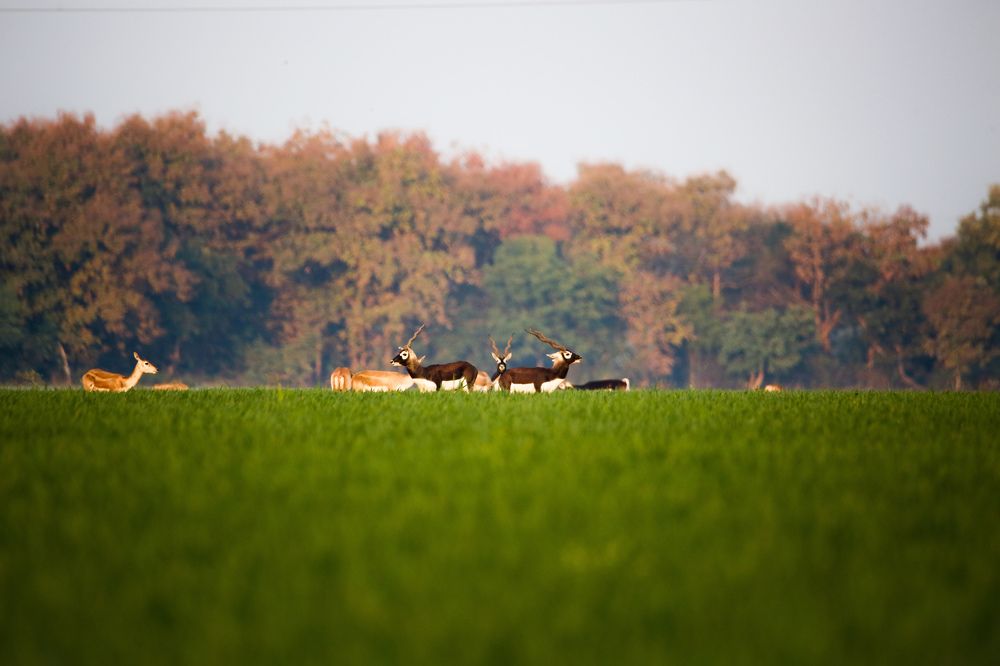 Photograph by Vinayak Sharma