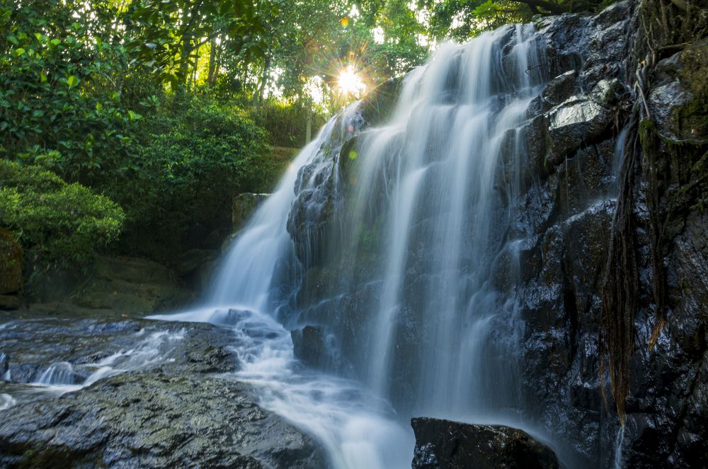 Photograph by Chamara Chathuranga