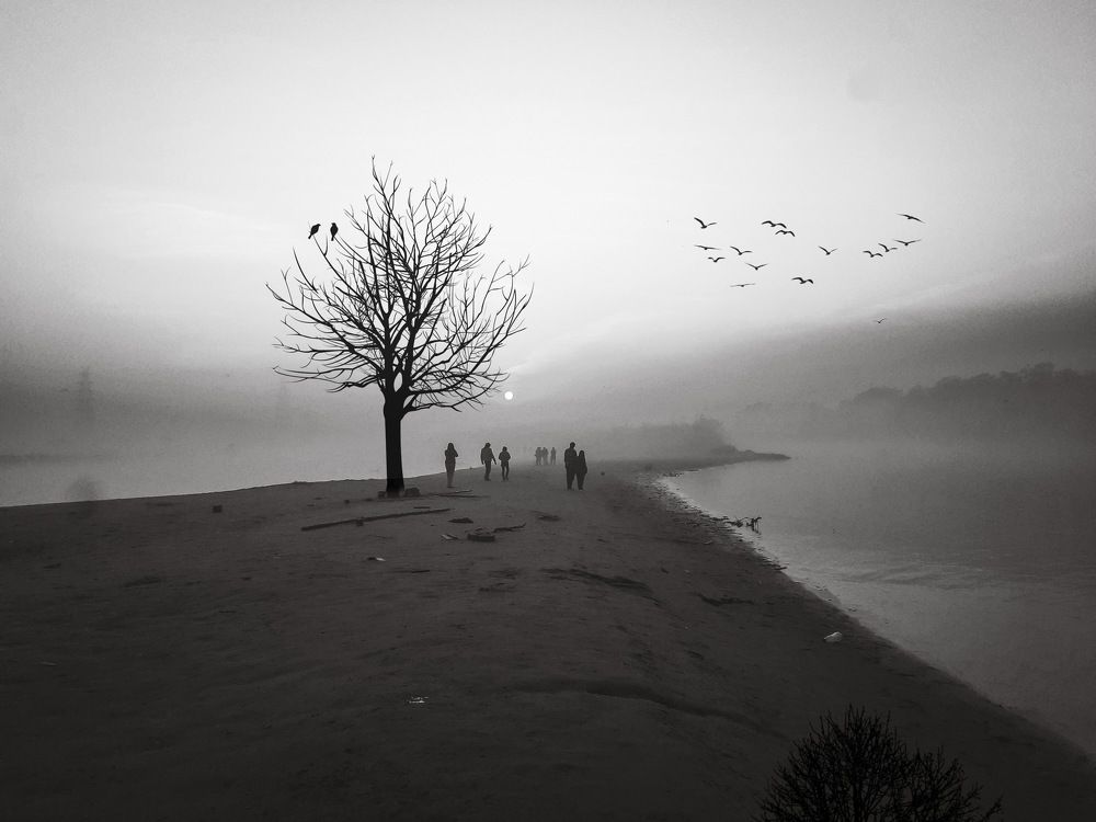 Photograph by Pawan Saini