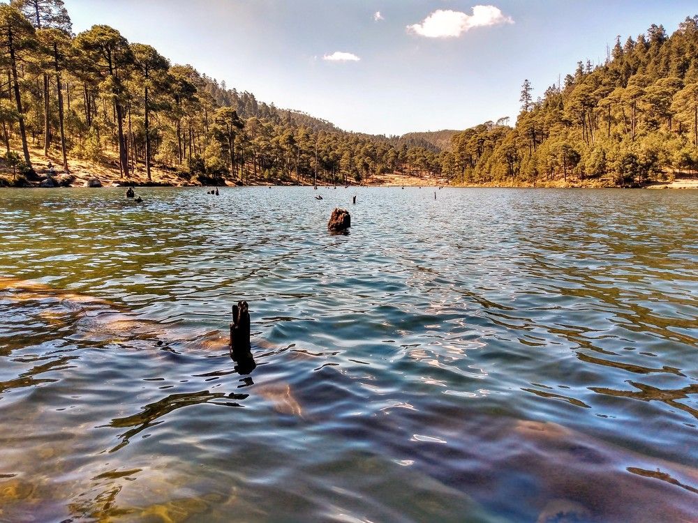 Photograph by José Luis Mendoza Machado