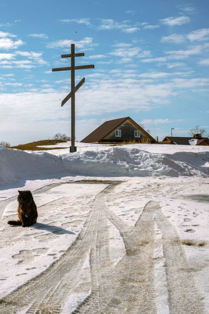 Photograph by Ольга Рачилова