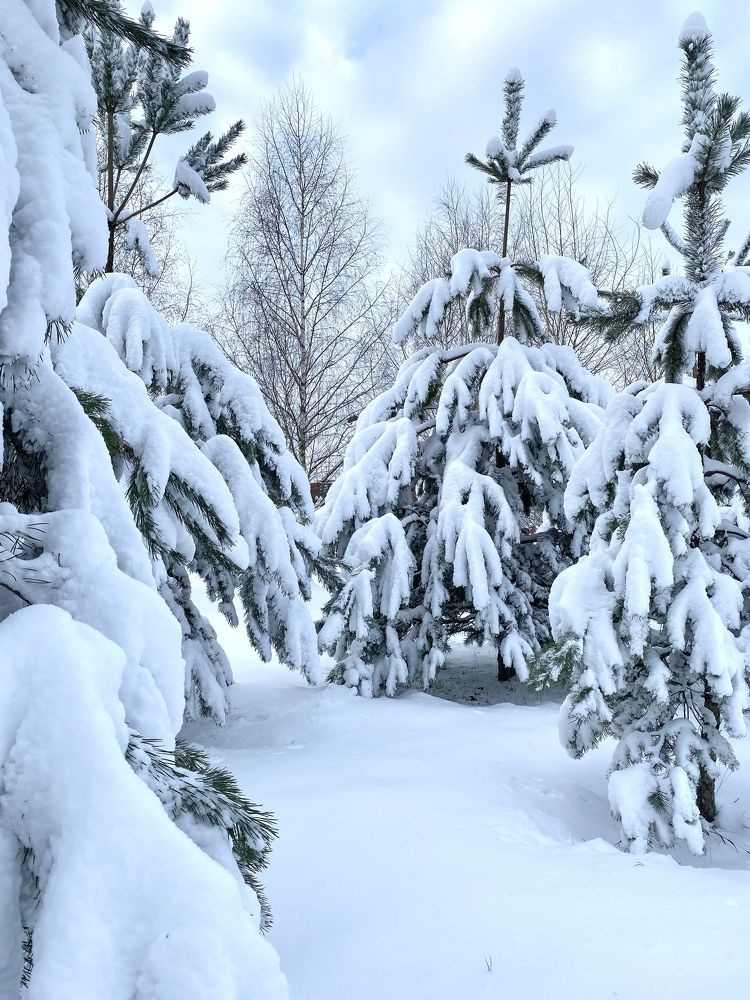 Photograph by Елена Мирончук