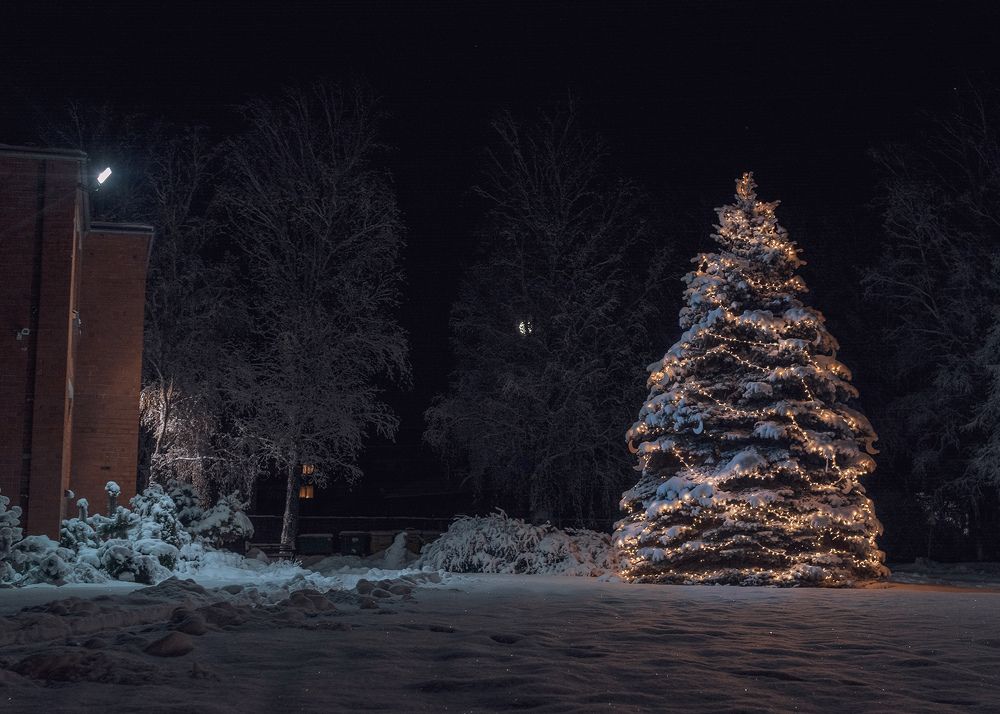 Фотография автора Марис Анкевицс