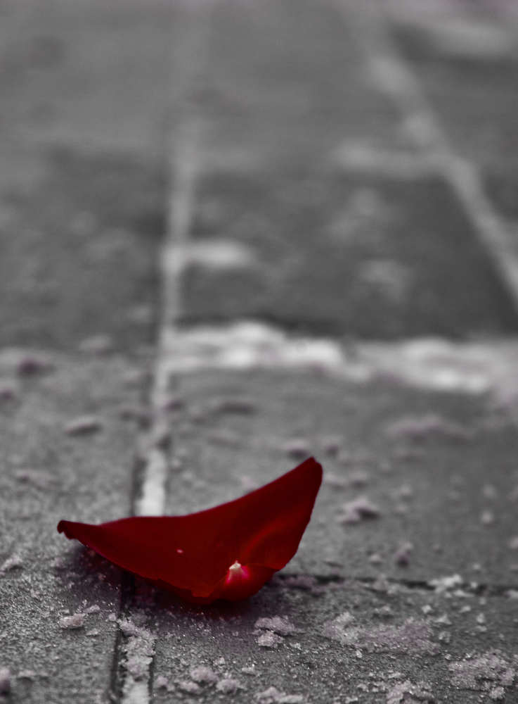 Photograph by Ольга Филатова