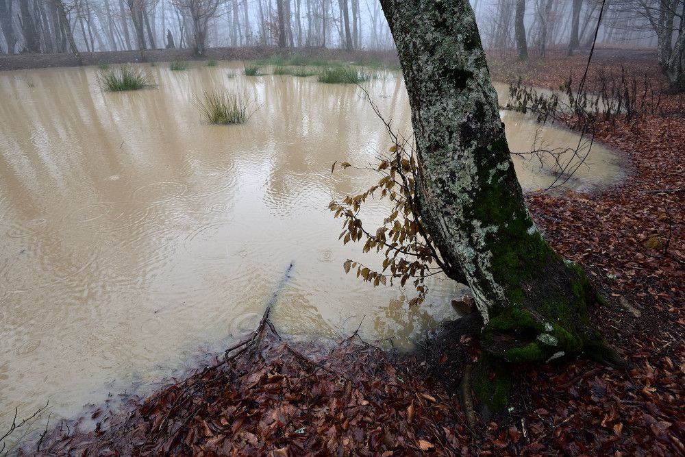 Photograph by Андрей Гусаченко