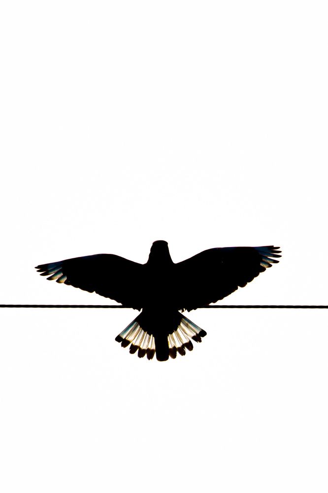 Photograph by Vinayak Sharma