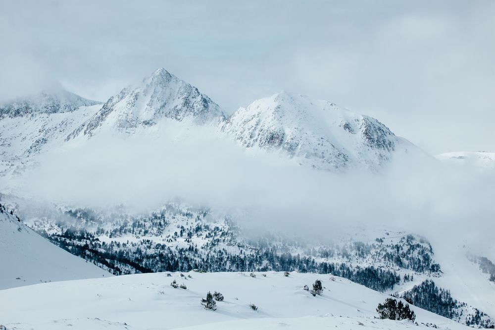Photograph by Сергей Добрин