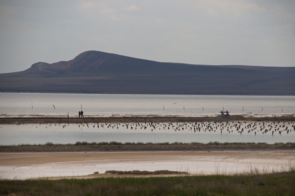 Photograph by Марина