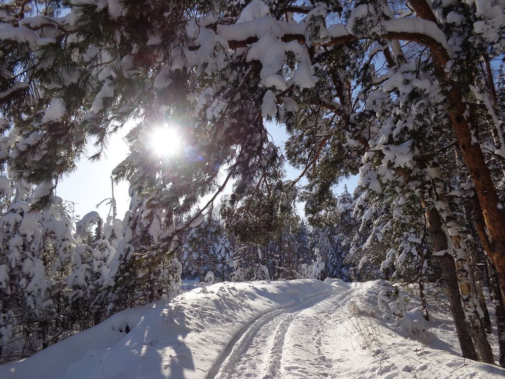 Photograph by Юрий Яценик