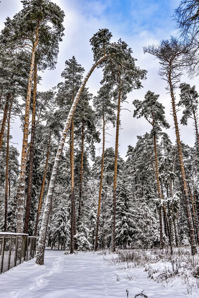 Photograph by Ольга Семина