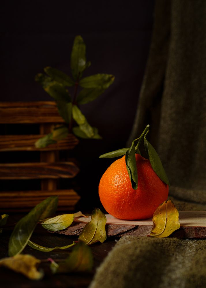 Photograph by Yusra Kadi