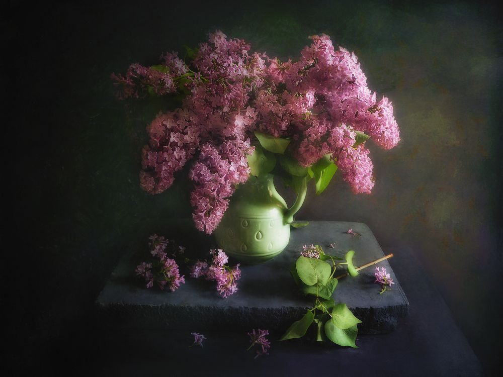 Фотография автора Vera Eremeeva