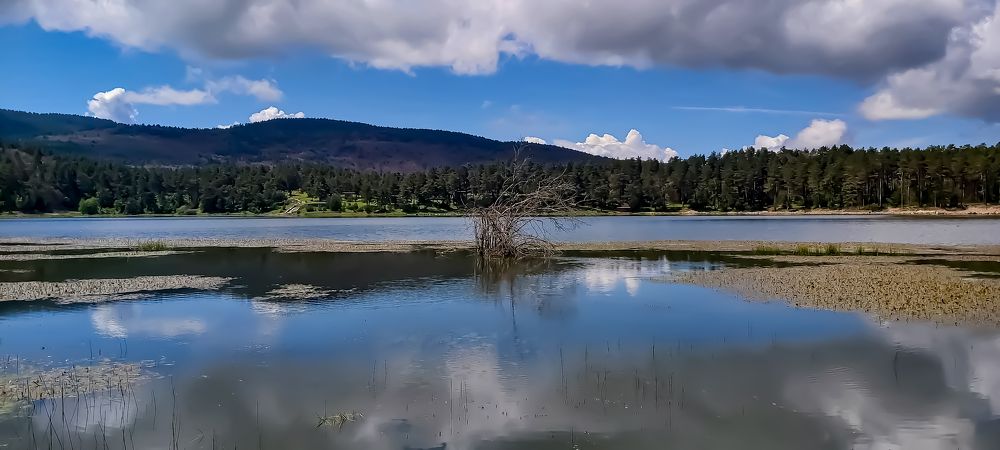 Фотография автора Deniz Tuna