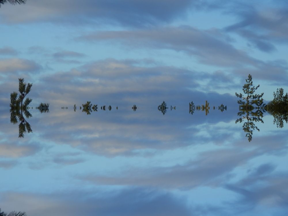 Photograph by Георгий Салюков