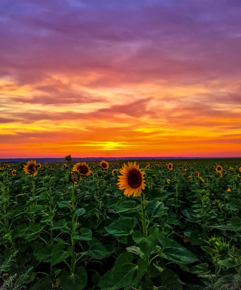 Photograph by Сергей Мамалюк