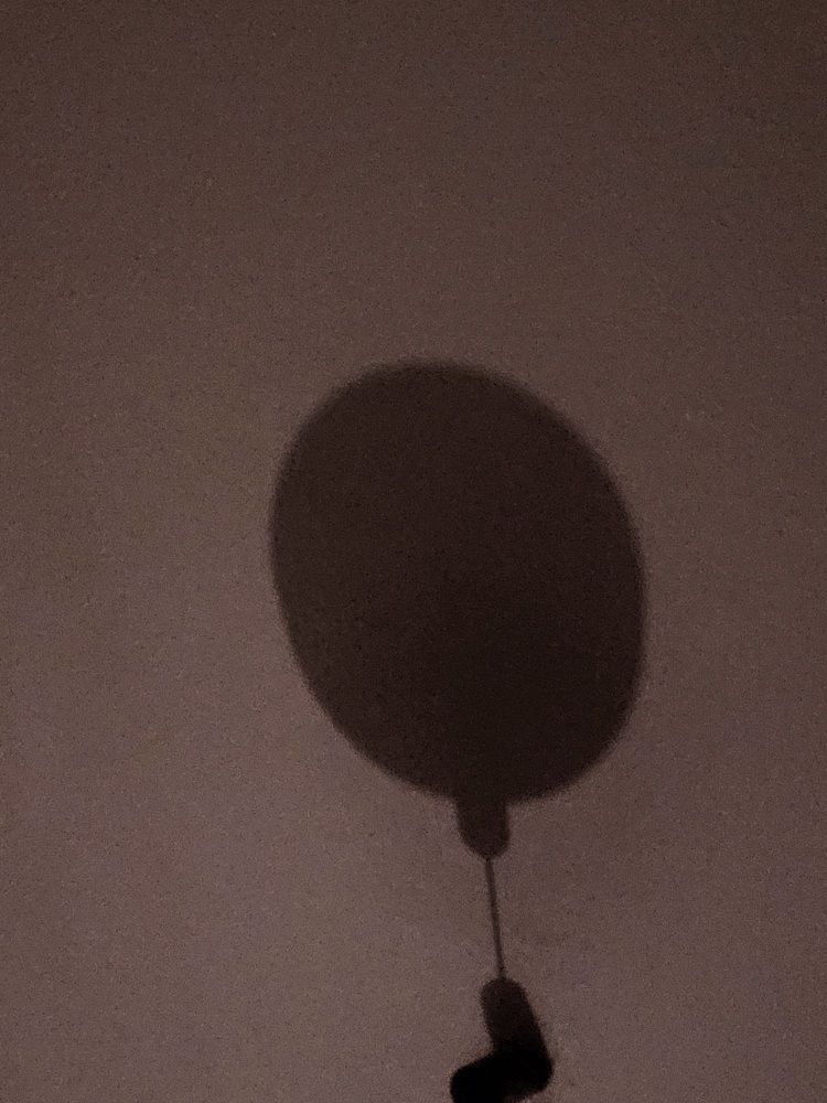 Photograph by Rahele Almassi