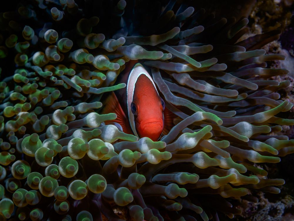 Photograph by Савин Андрей