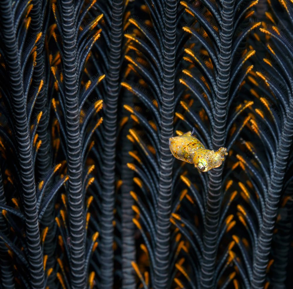 Photograph by Савин Андрей