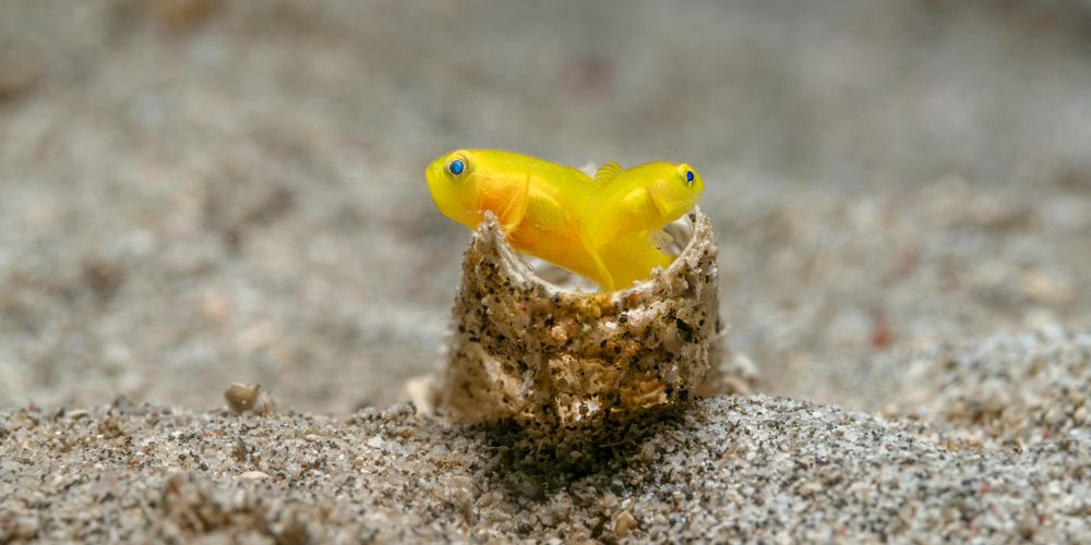 Photograph by Савин Андрей