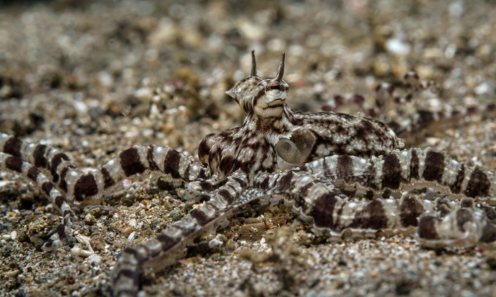 Photograph by Савин Андрей