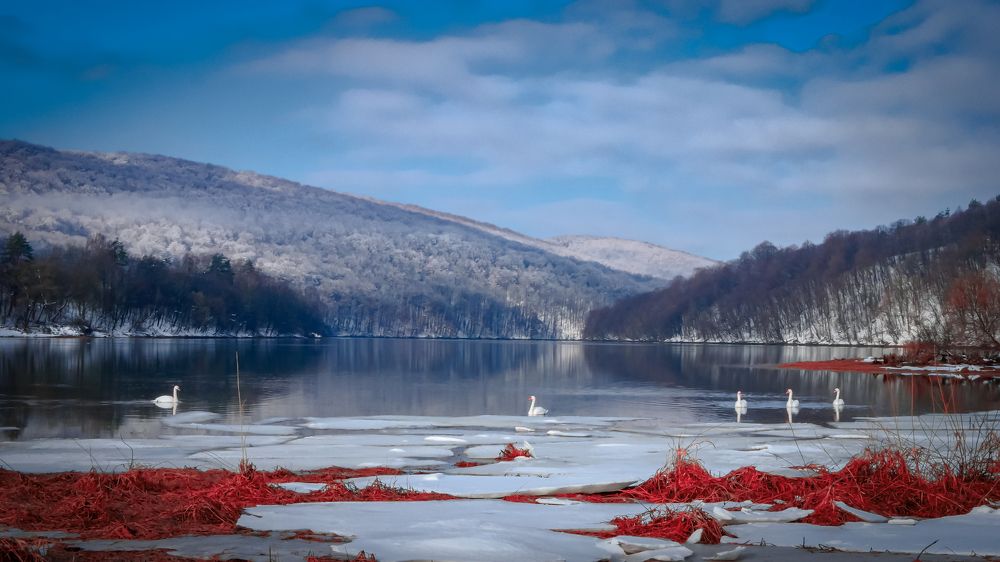 Фотография автора Paweł Sierpiński