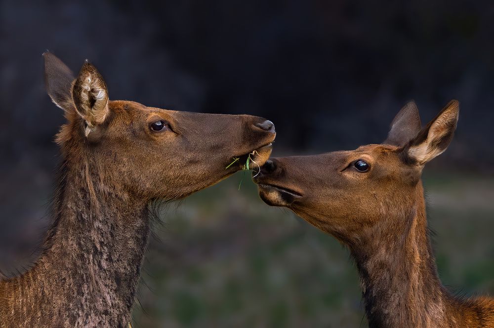 Photograph by Guy Wilson