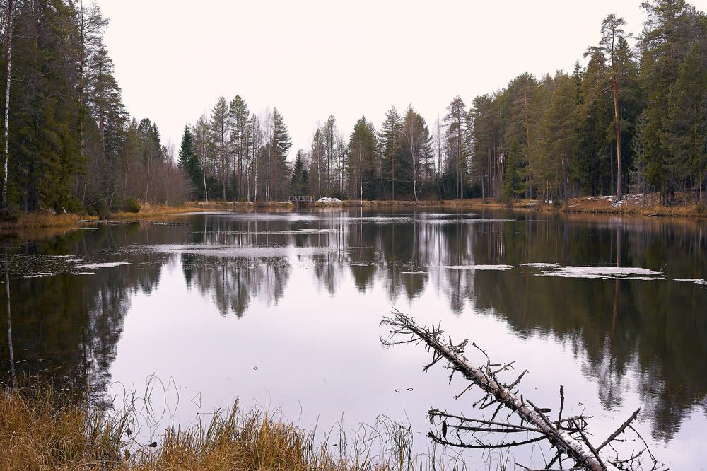 Photograph by Артем Большаков