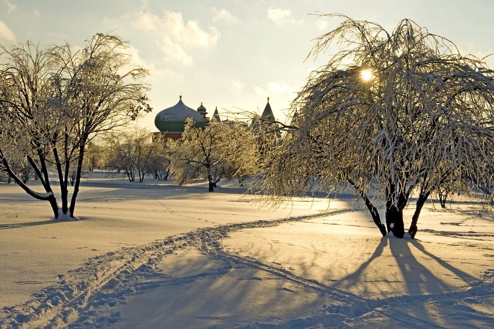 Photograph by Дмитрий Розенбаум