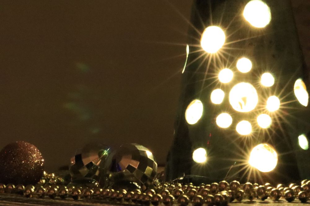 Photograph by Lina Tomkevičienė