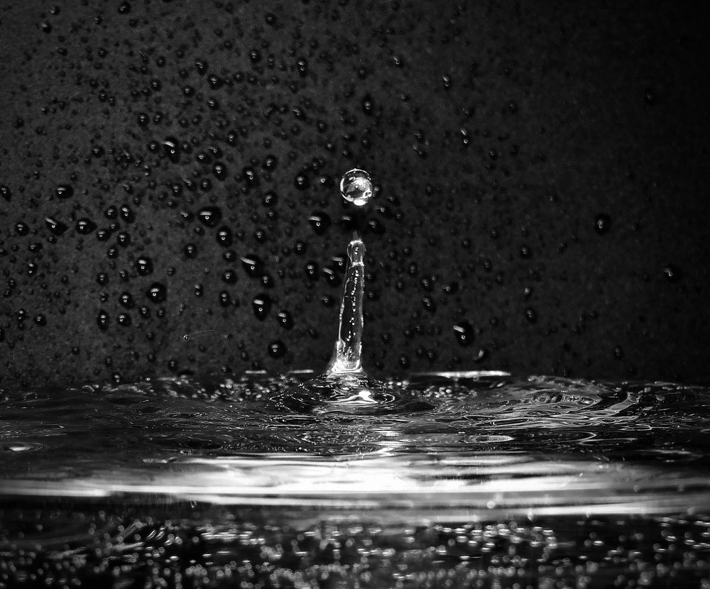 Photograph by Светлана Богомолова