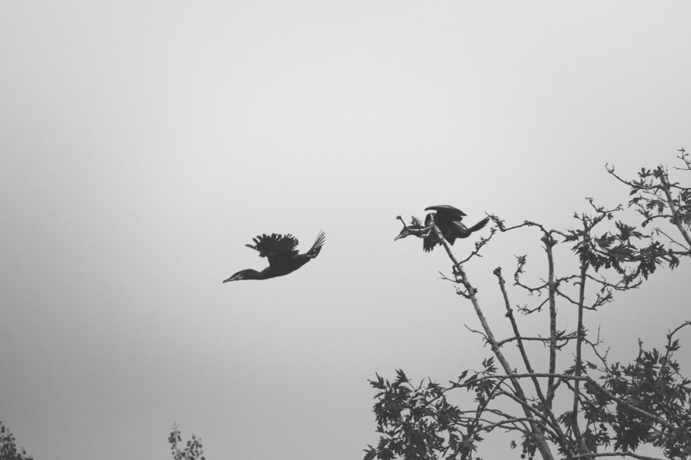 Photograph by Dimitris Vavliaras