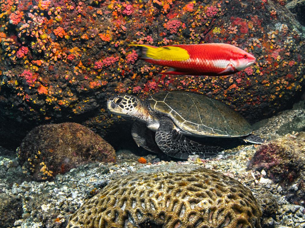 Photograph by Pedro Filadelfo