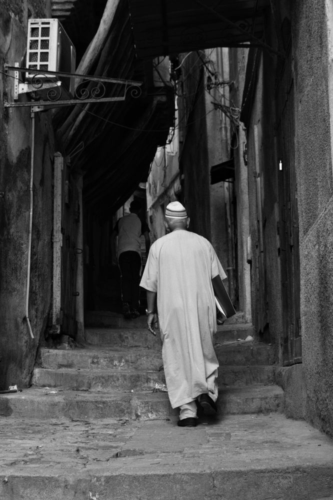 Photograph by Anous abadi