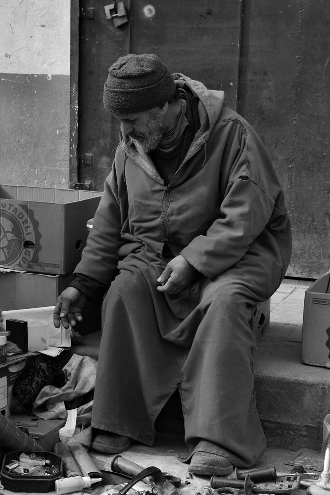 Photograph by Anous abadi