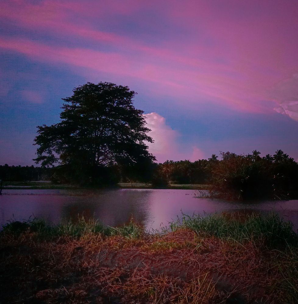 Photograph by Thimira dinisuru