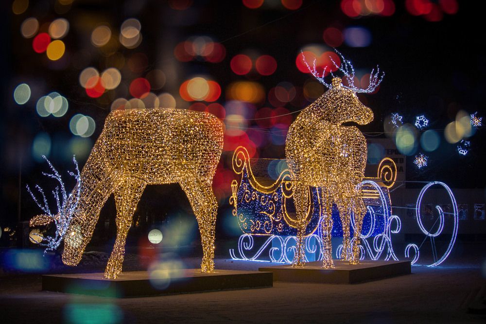 Фотография автора Анна Широкова